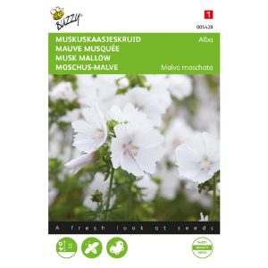 ZADENZAKJE Muskuskaasjeskruid (Malva moschata 'alba')